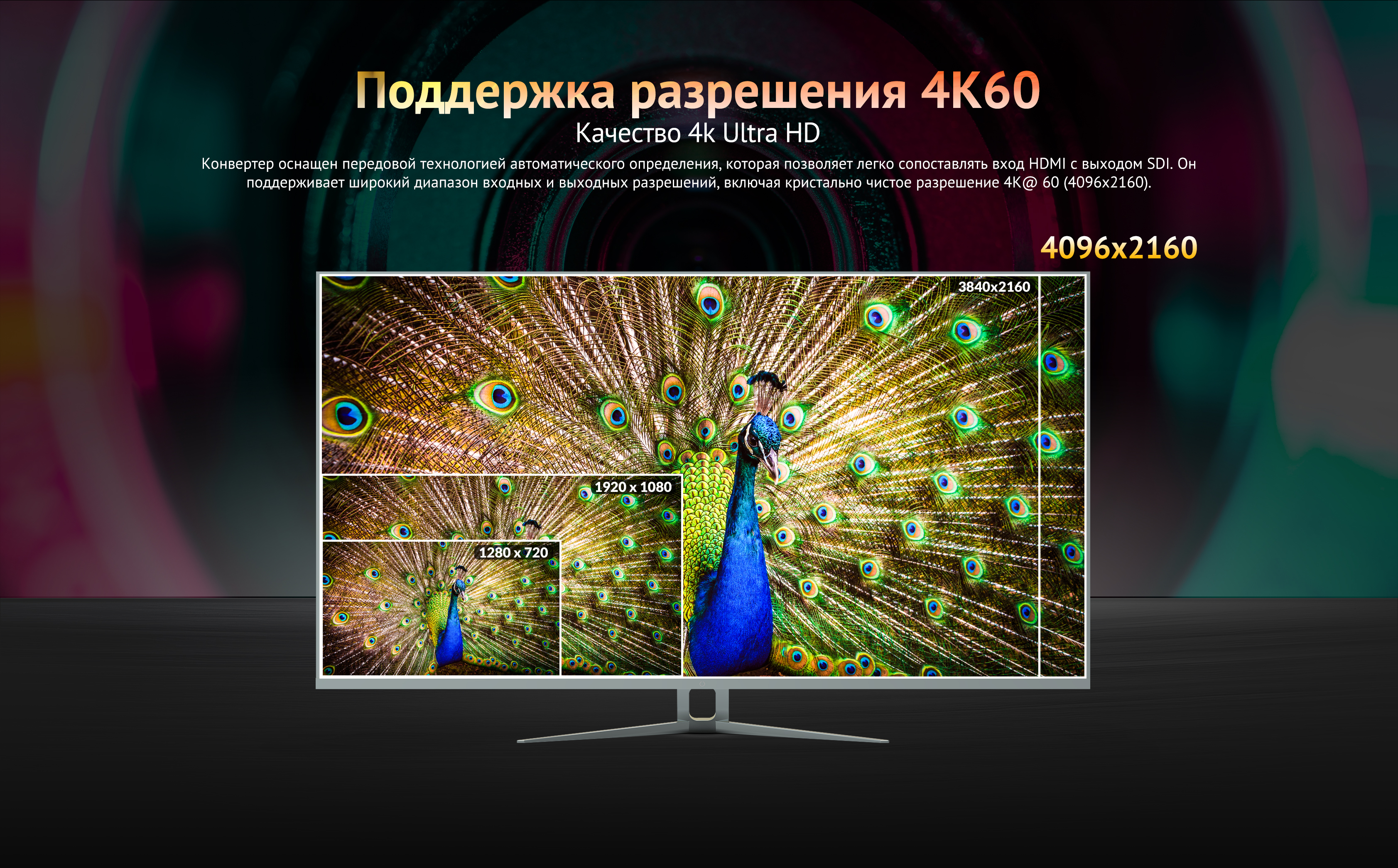 SC1221-12G_05.jpg